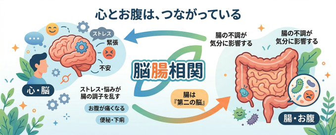 脳腸相関の関係図